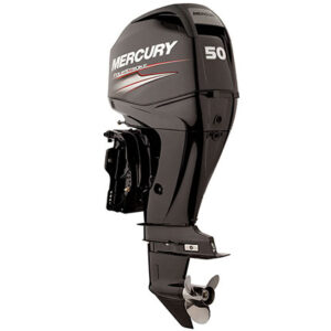Mercury 50 HP EFI (beg)